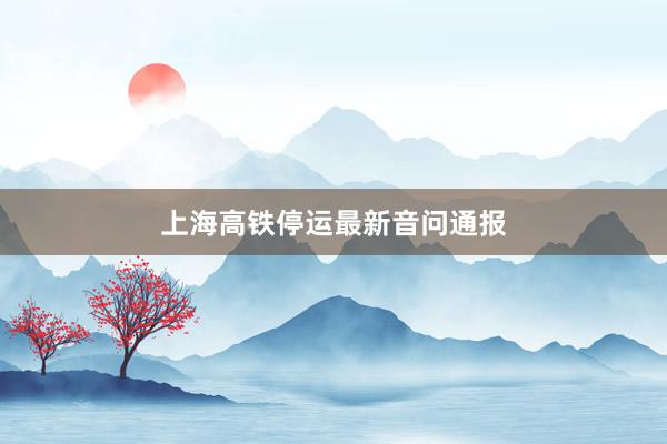 上海高铁停运最新音问通报